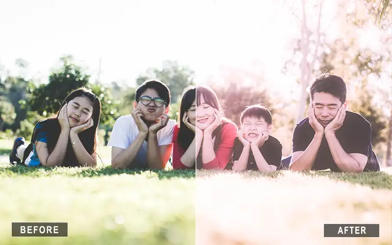 Matte Family Portrait Presets