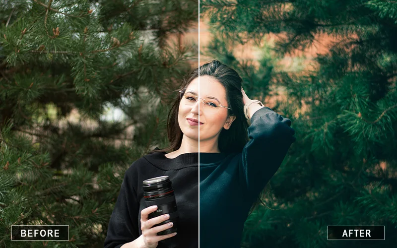 naturalcamerarawportraitpresets_preview