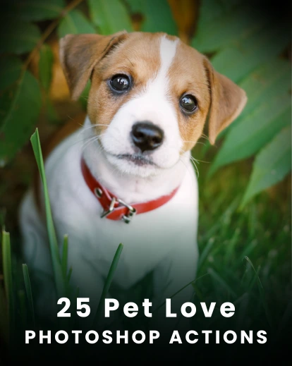 pet love photoshop actions-FeatureImage