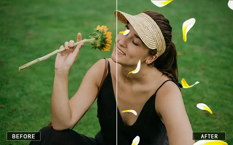 petals overlays
