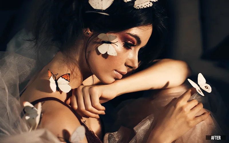 fashion camera raw portrait presets