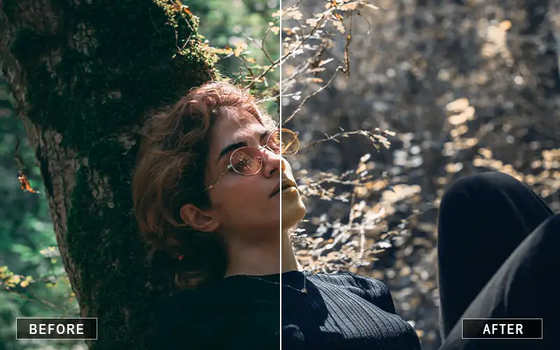 Brown Moody Photoshop Actions