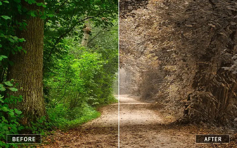 Brown Tone Photoshop Actions​