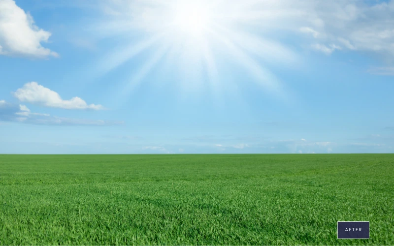 sun photoshop overlays after