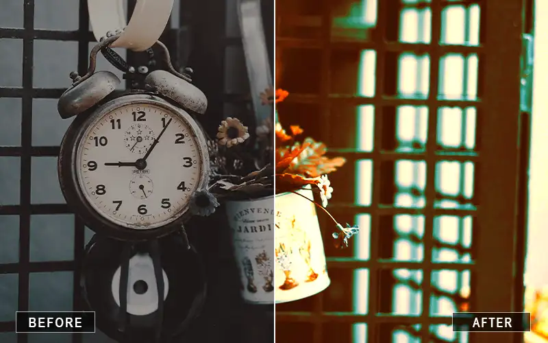 camera raw vintage presets