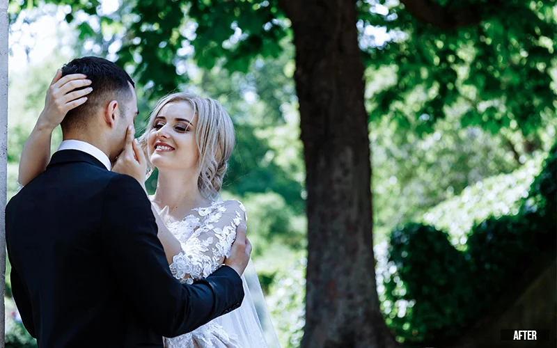 Wedding Portrait Lightroom Presets