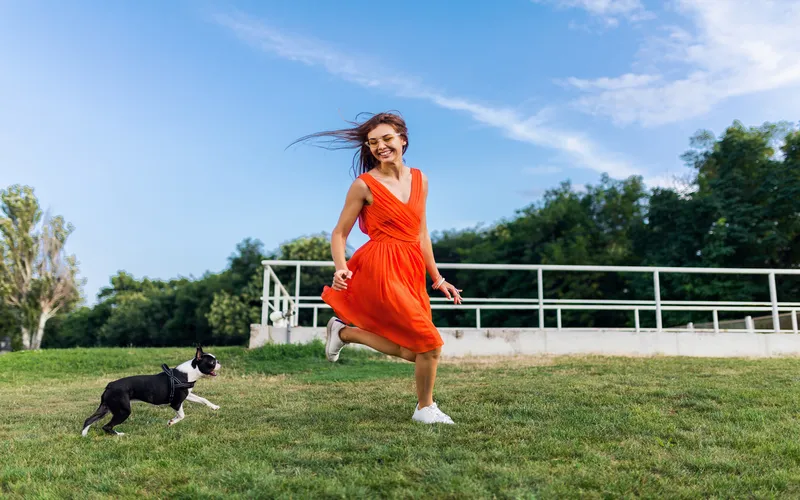 dog and its owner playing in the backyard