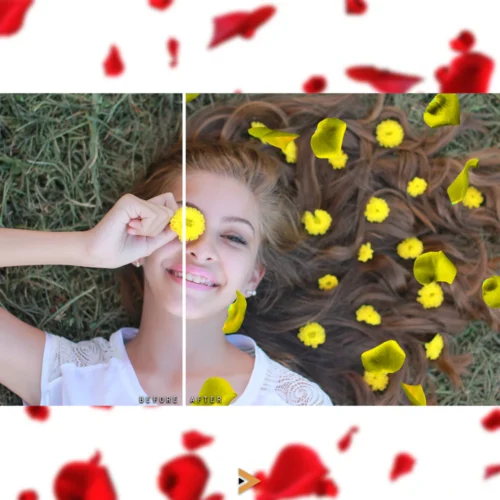 flower petal overlays