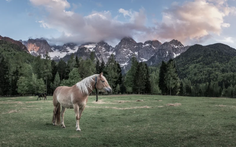 travel photo editing tools, mobile presets for travel