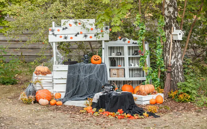 Skull Web Photo Booth for Halloween