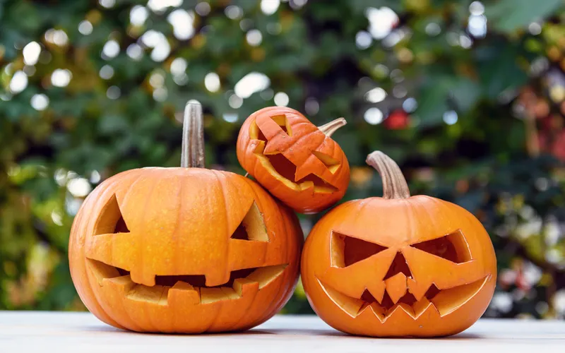 silly looking pumpkin head