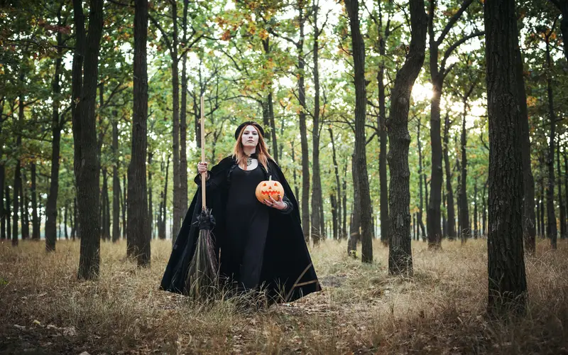 Halloween photo in creepy forest
