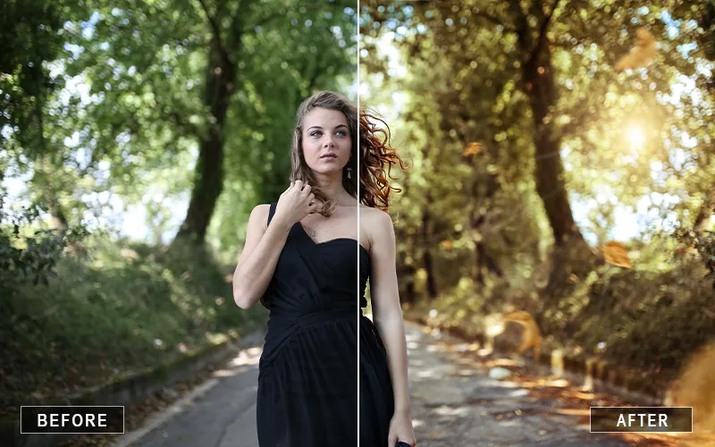 before/after results preview