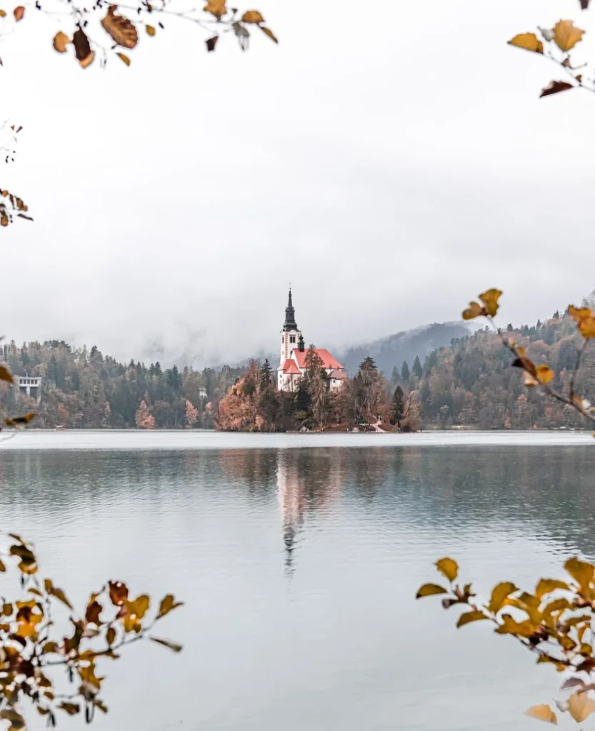 natural composition: fundamentals of photography course