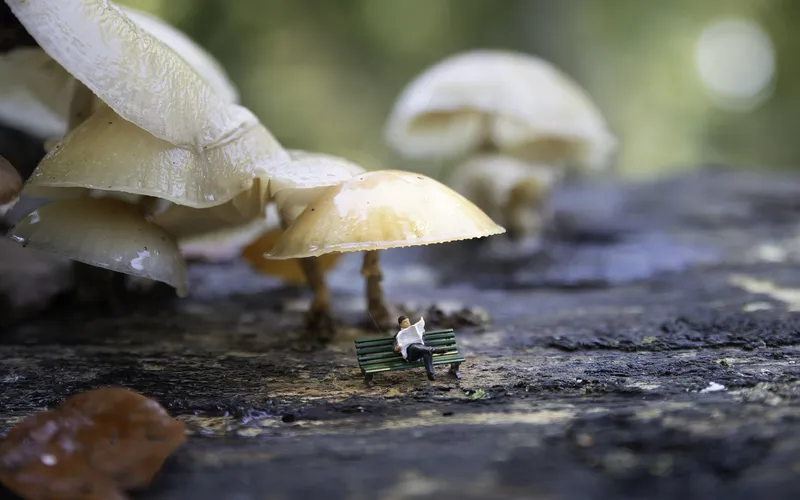 photo manipulation with miniature worlds