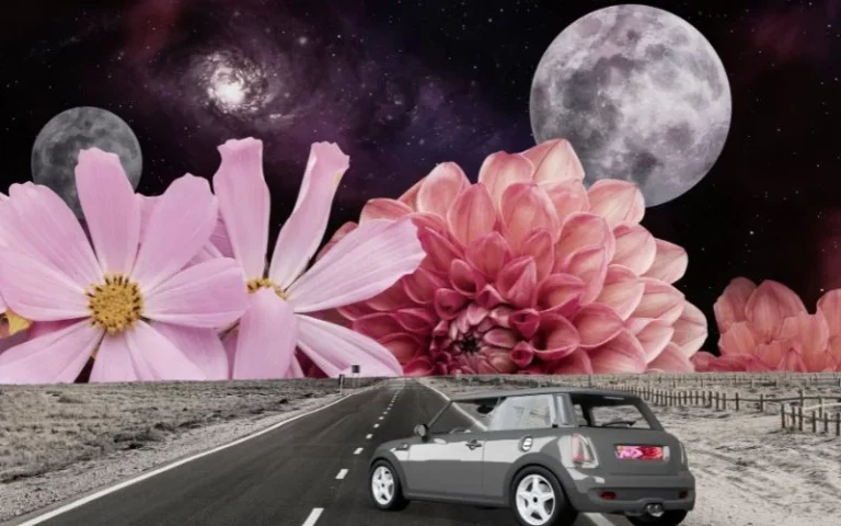 photo manipulation ideas featured image