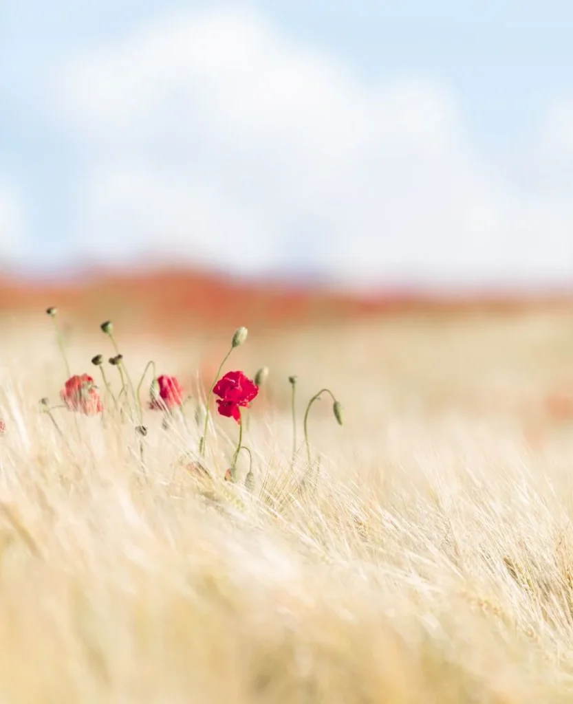 create images like never before