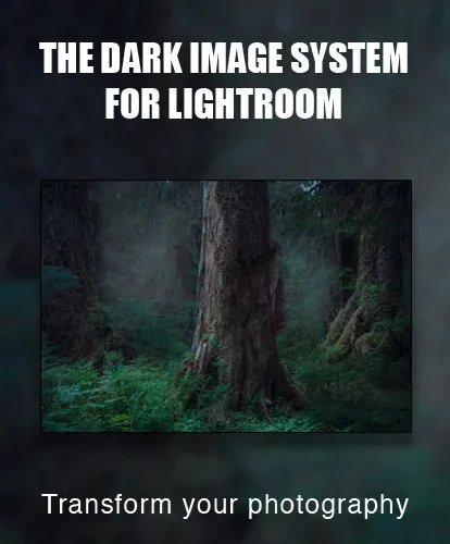 lightroom bundle, lightroom editing course banner, photography course online, digital photography course, best photography deals