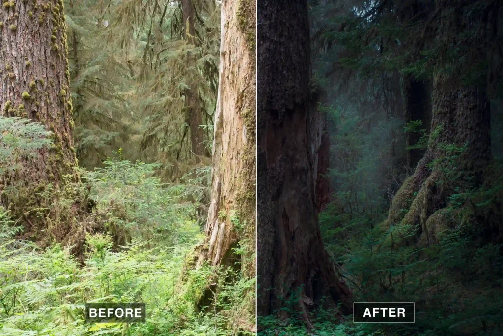 editing dark photos in lightroom