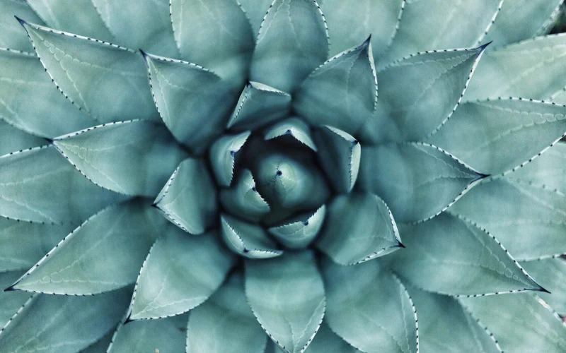 Abstract Photography
