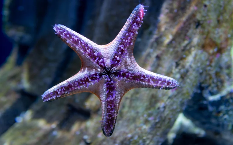 photo of rippled sand texture