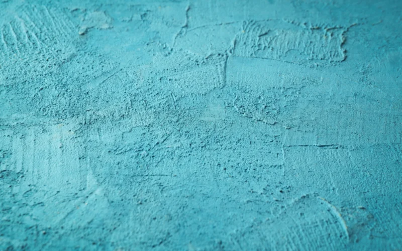 photo of plants texture