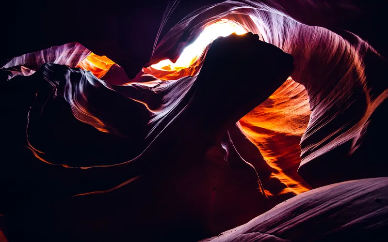 image with high contrast and bright colors