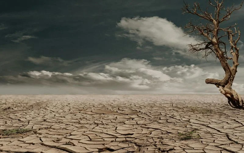 photo of cracked earth