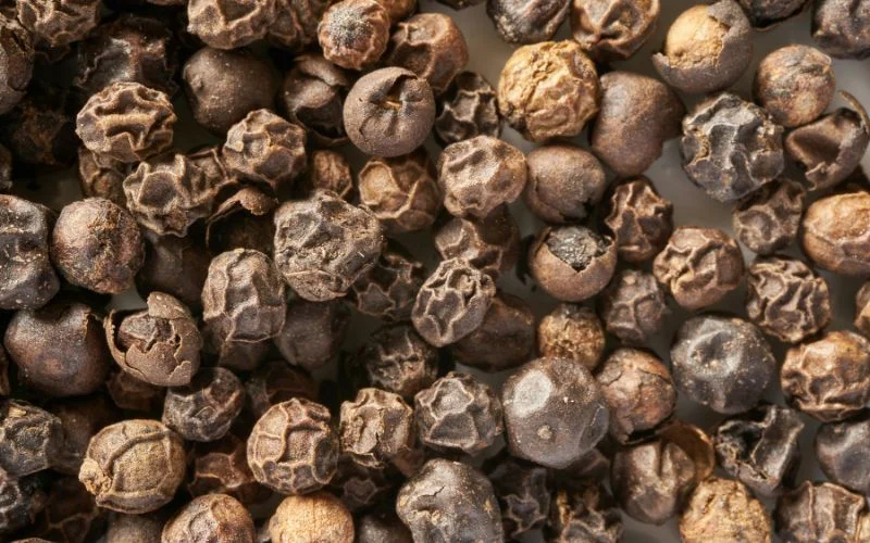 texture of fallen nuts
