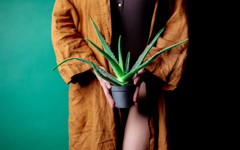 photography trend of faceless shot