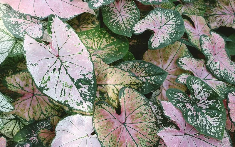 what are textures in photography