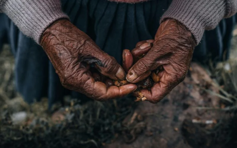 photo of wrinkled hands