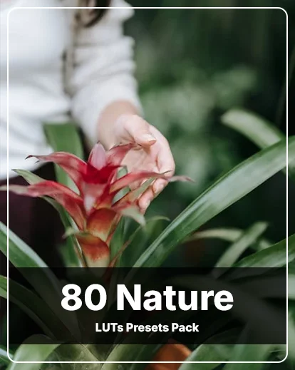 affinity bundle, color grading luts, instagram luts, dark luts, pastel luts, indoor luts, portrait luts, wedding luts, urban luts, night luts, sunset luts, studio luts, vintage luts, landscape luts, food luts, sports luts, nature luts, presets for affinity photo, affinity photo luts, luts for affinity photo, affinity photo portrait presets