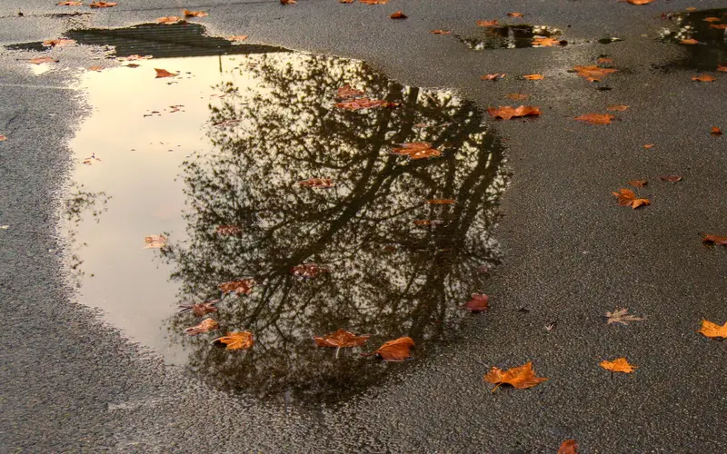 reflection of buildings in the puddle formed by rain