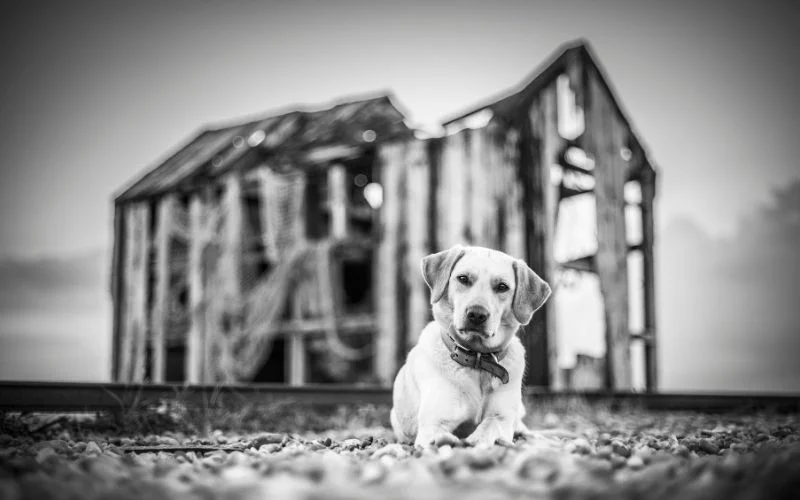 black and white photo ideas