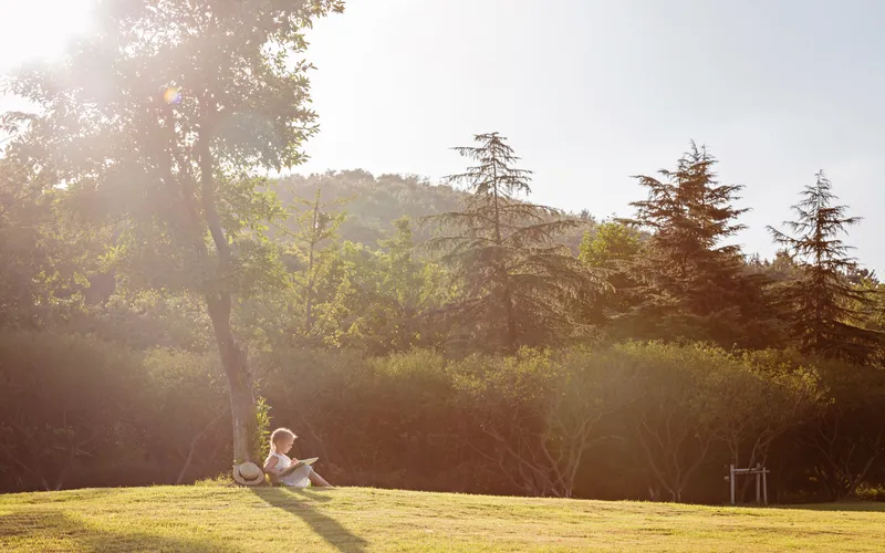 photo taken outdoors in natural light