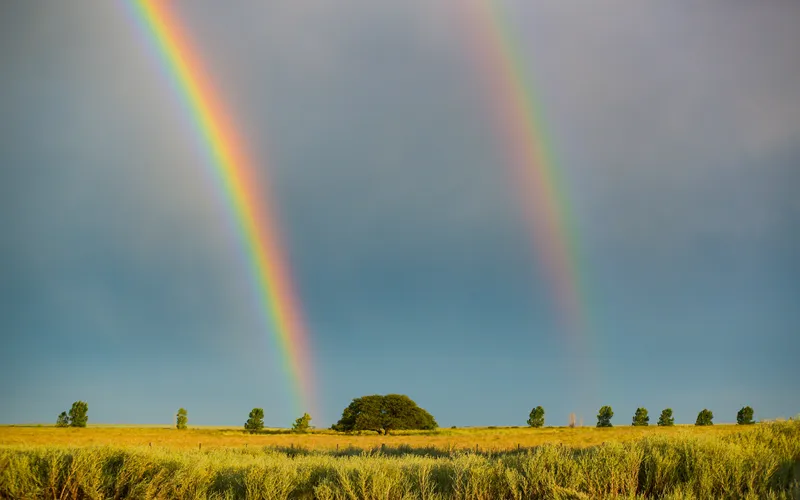 photo of a double rainbow after rain