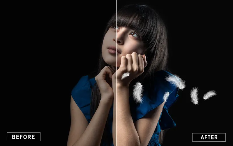 Faded White Feather Overlay, White Feature Overlays for Magical Edits