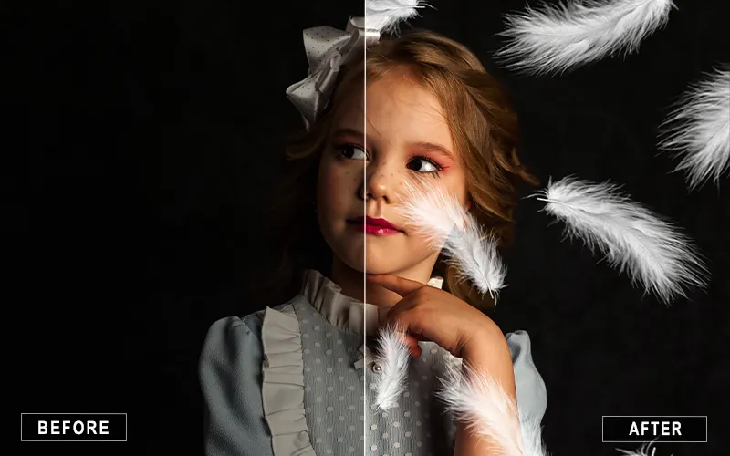 Light and Airy White Feather Overlay, Light White Feather Overlays