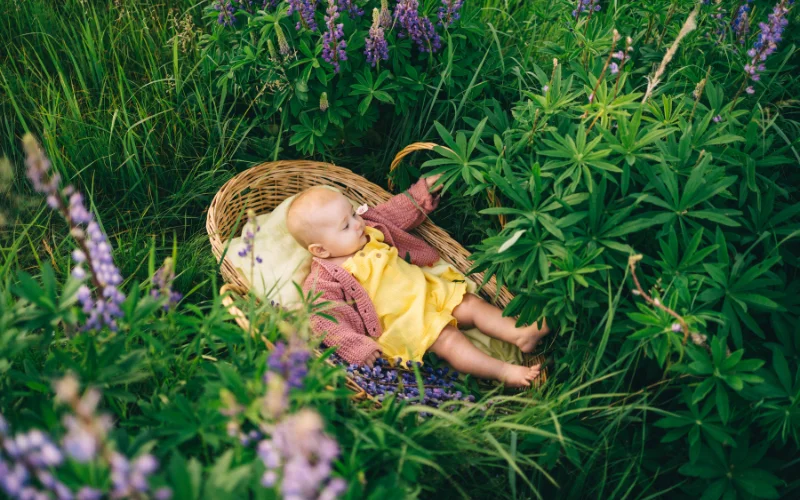 Spring Newborn Photoshoot, newborn spring photoshoot
