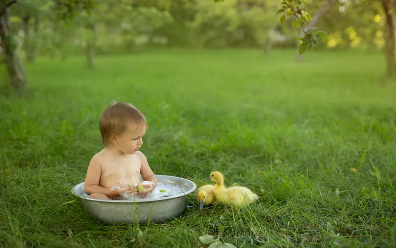 child playing with ducklings