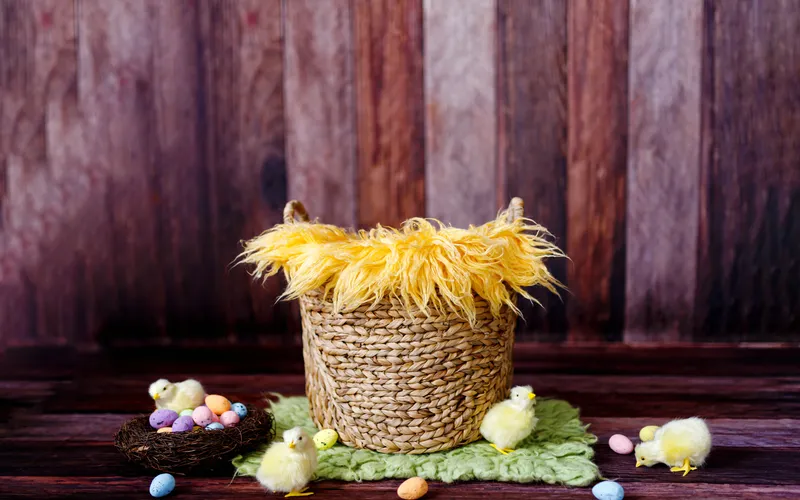 example of digital backdrop for infant easter photoshoot