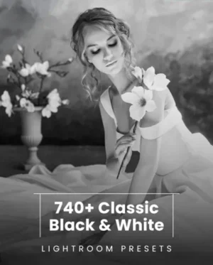 photography add ons, lightroom black and white presets, black and white film lightroom presets, matte b&w presets, hdr b&w presets