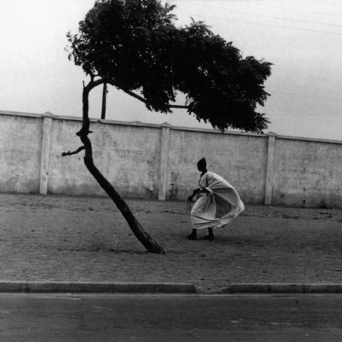 Black photographers, Black photography pioneers, African American photographers