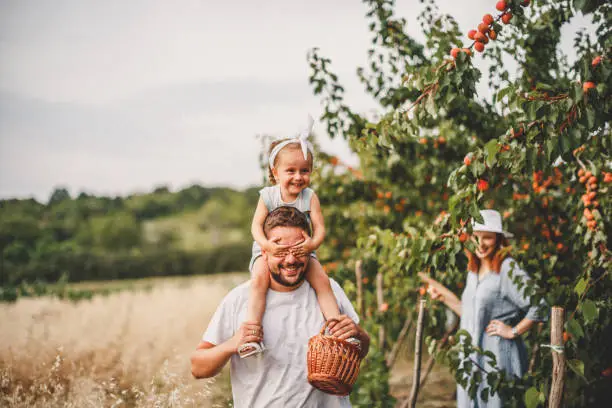 spring family photos, family photoshoot spring, Vineyards and Orchards spring family photos