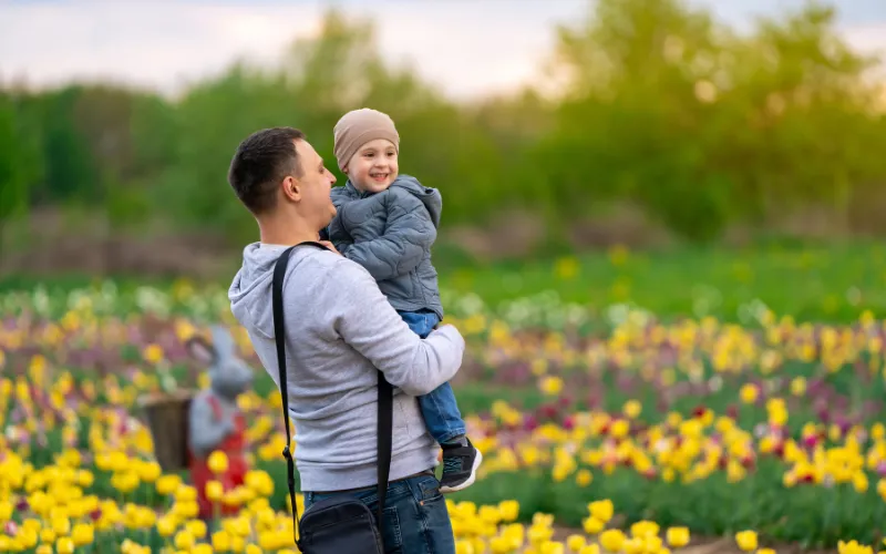 Tulip Festivals and Botanical Exhibitions