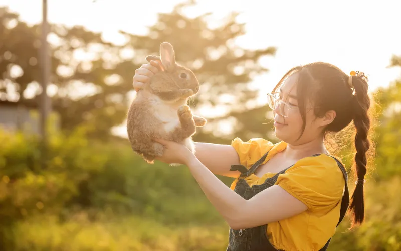 Sunset Easter Bunny Portrait Ideas,