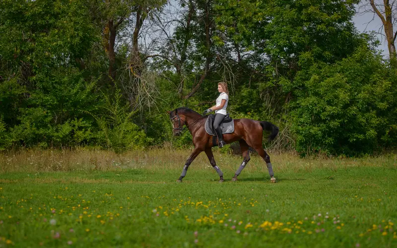 Woman riding a horse along the shoreline, frozen sharply at 1/2000 sec shutter speed