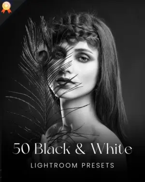 black and white mobile presets, photography add ons, adobe lightroom resources