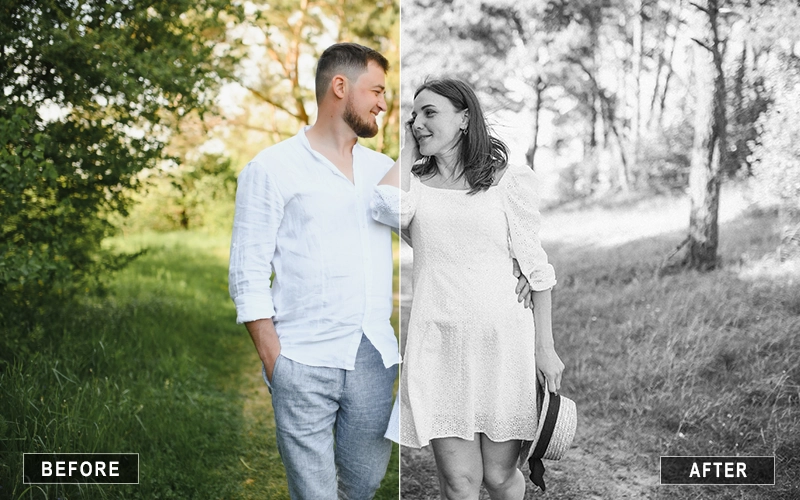 Black and White Film Lightroom Presets
